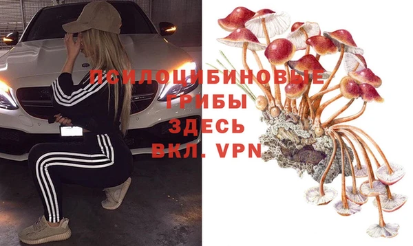 меф Каменка