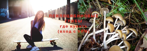 jwh Карпинск