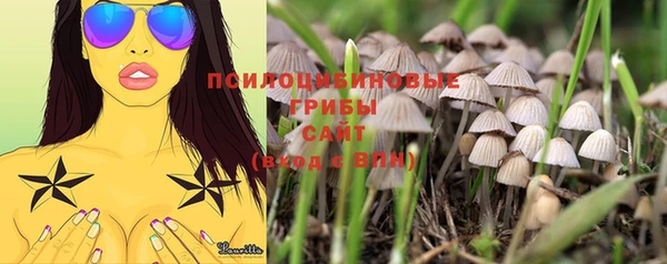 ешки Касимов